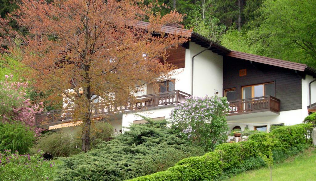 Haus Margrit Ferienwohnung In Sonnenlage Golling an der Salzach Εξωτερικό φωτογραφία