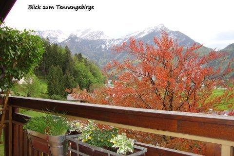 Haus Margrit Ferienwohnung In Sonnenlage Golling an der Salzach Δωμάτιο φωτογραφία